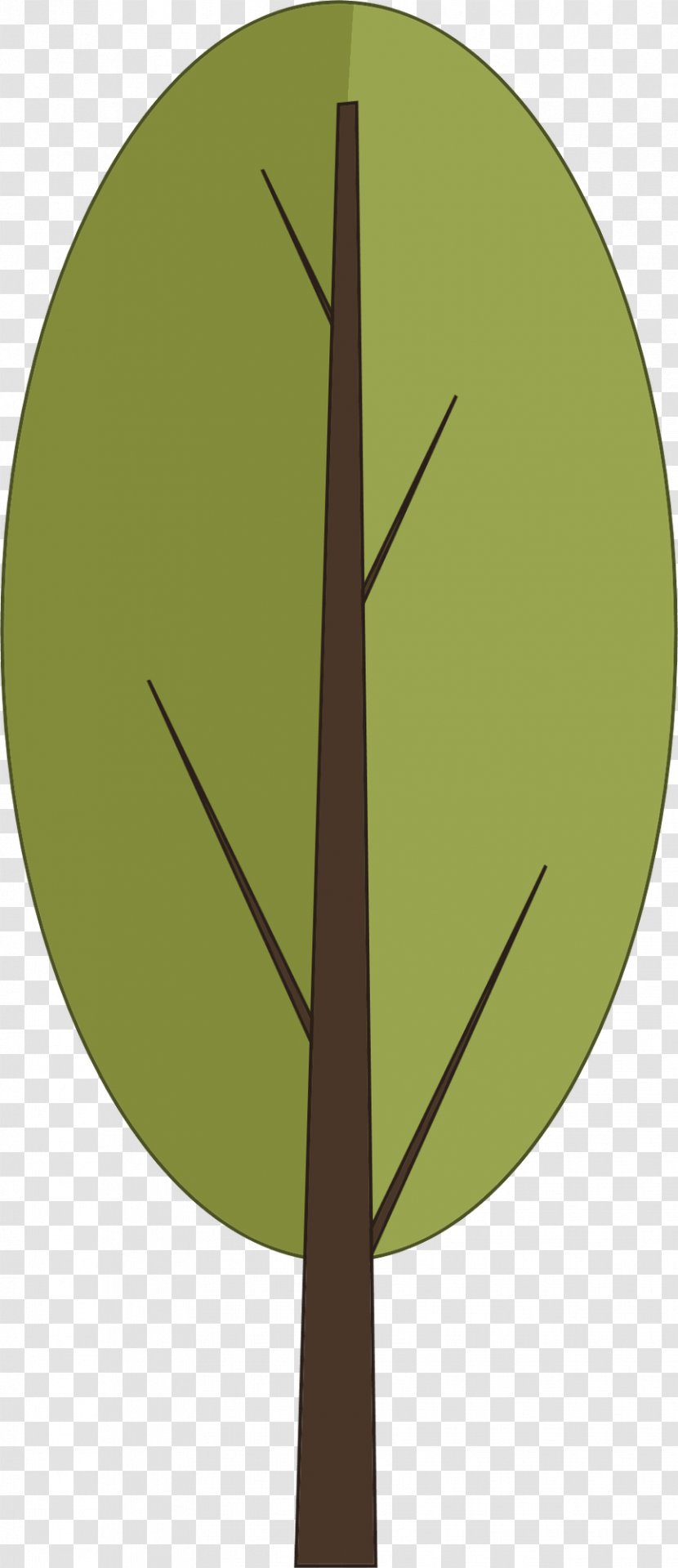 Clip Art Tree Leaf Image Trunk - Heart Of Palm Transparent PNG