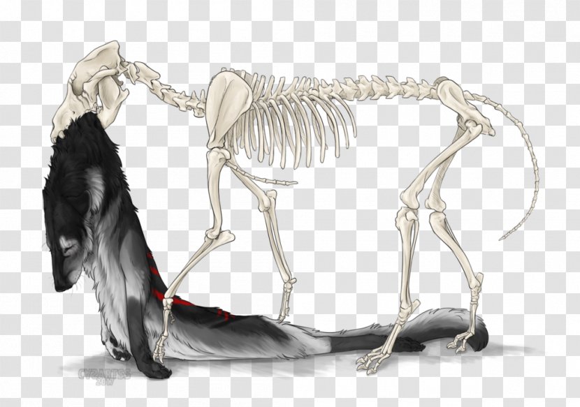 Joint Skeleton - Neck - Happy Halloween Transparent PNG