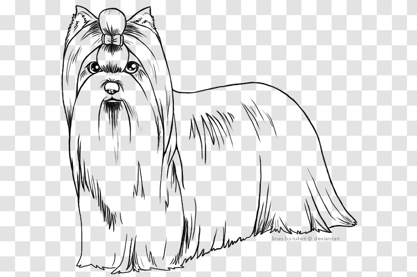 Dog Breed Toy Yorkshire Terrier Line Art Whiskers - Rat Transparent PNG