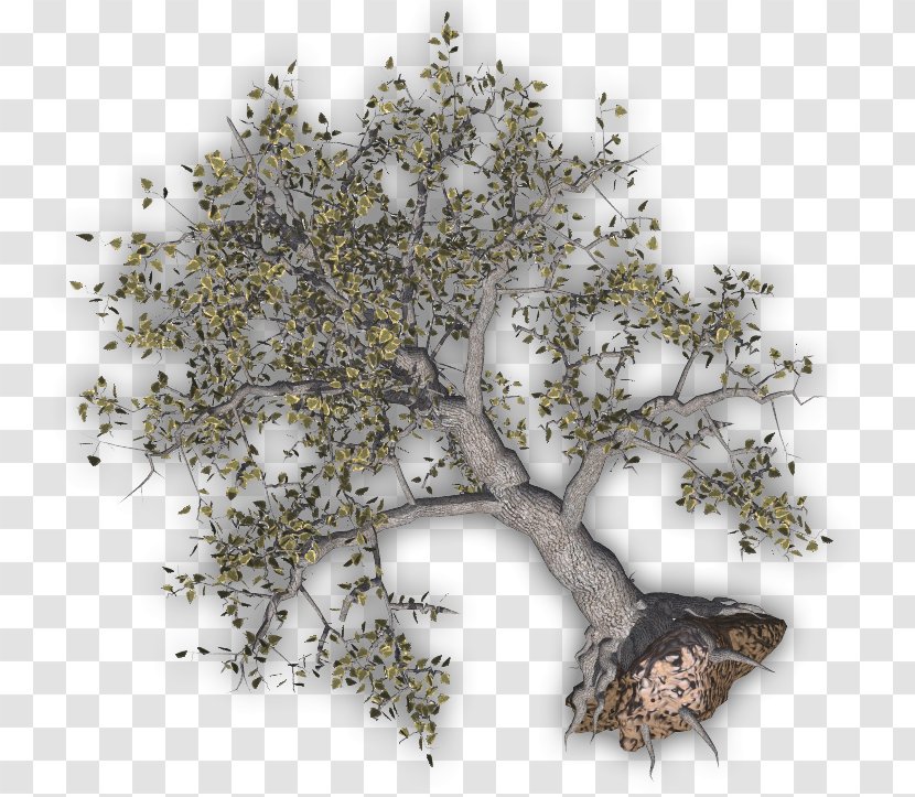 Twig Tree Clip Art - Branch - Damage Cliparts Transparent PNG