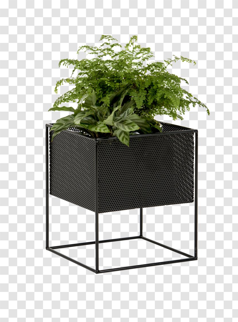 Flower Box Metal Plants Garden - Furniture - Indoor Transparent PNG
