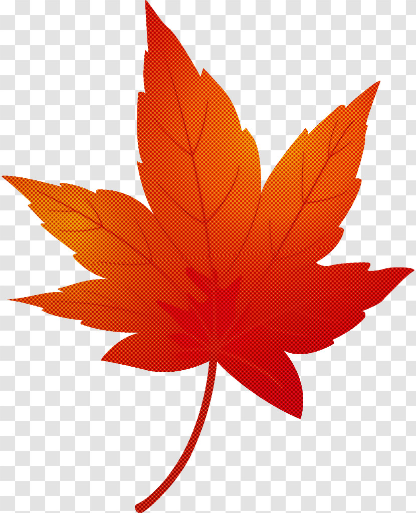 Maple Leaf Fallen Leaf Dead Leaf Transparent PNG