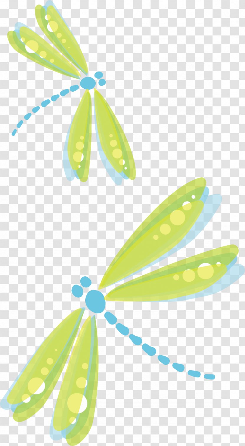 Euclidean Vector Green Adobe Illustrator - Leaf - Dragonfly Transparent PNG