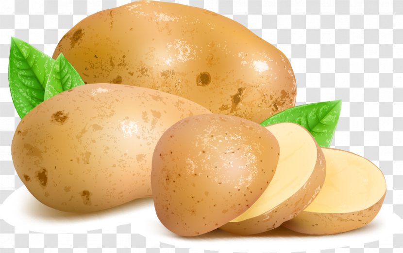 Potato Euclidean Vector Stock Photography Transparent PNG