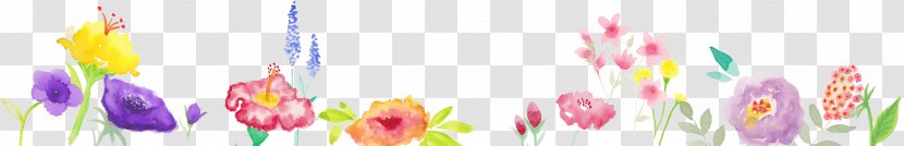 Header Flower Petal Page Footer Transparent PNG