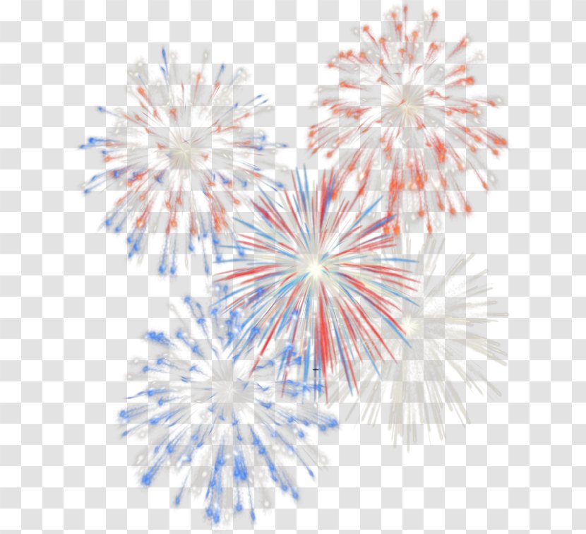 Independence Day Fireworks Clip Art - F%c3%aate - Fondo Transparent PNG