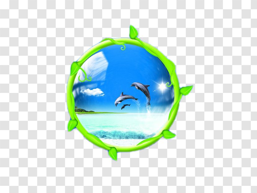 Illustration - Water - Frame Dolphin Transparent PNG