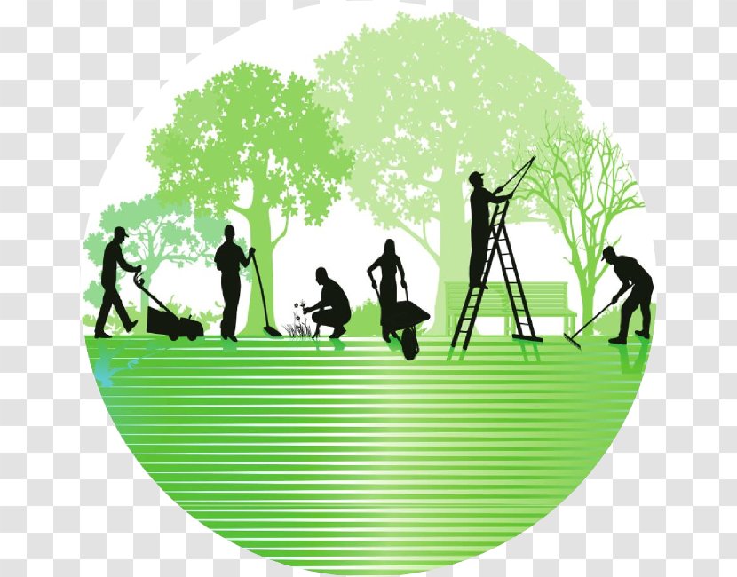 Gardening Gardener Lawn Landscaping - Park Transparent PNG