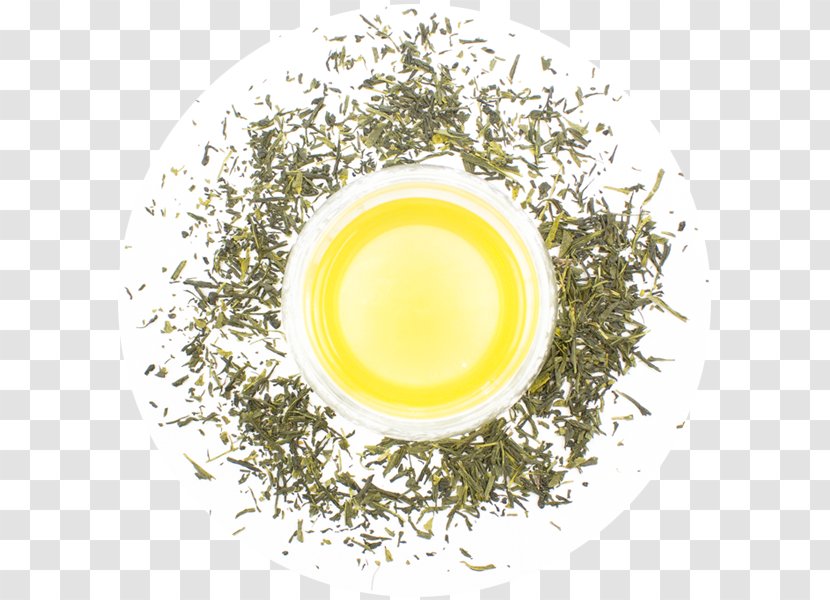Earl Grey Tea Sencha Hōjicha Green Assam Transparent PNG