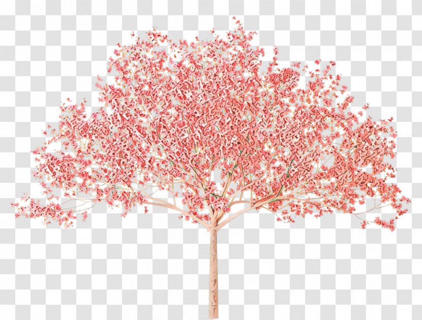 Cherry Blossom Tree - Pink - Twig Maple Transparent PNG