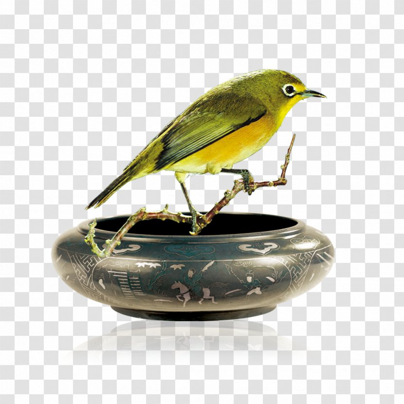 Ashtray Bird Icon - Fauna - Free Pull Creative Transparent PNG