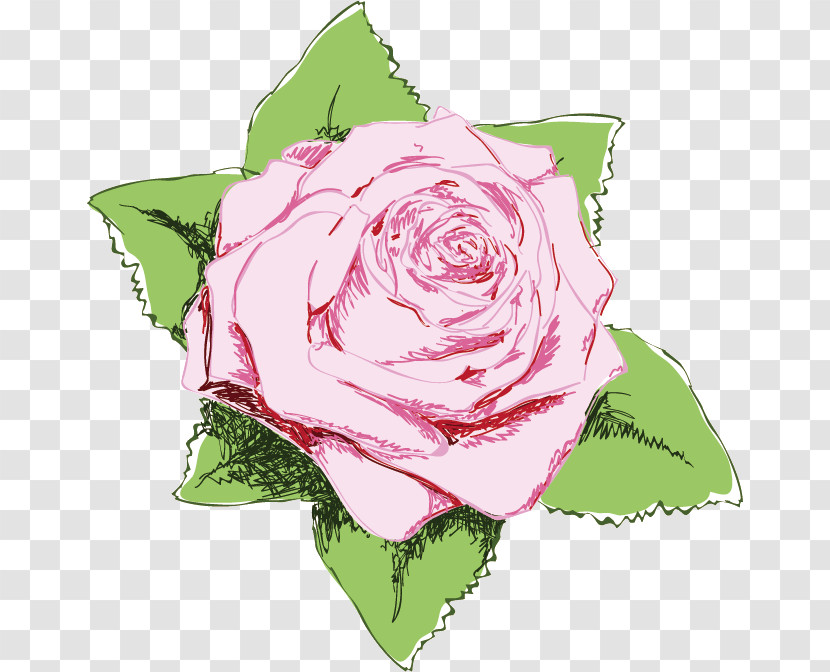 One Flower One Rose Valentines Day Transparent PNG