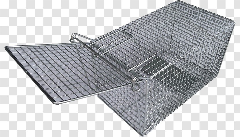 Rat Trap Trapping Cage Rodent - Fish Transparent PNG