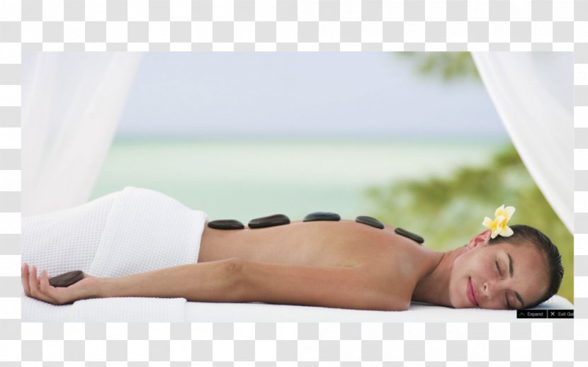 Day Spa Massage Destination Beauty Parlour - Arm - Hotel Transparent PNG