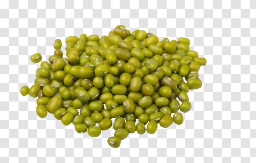 Dal Mung Bean Wild Legume - Food - CASHEW Transparent PNG