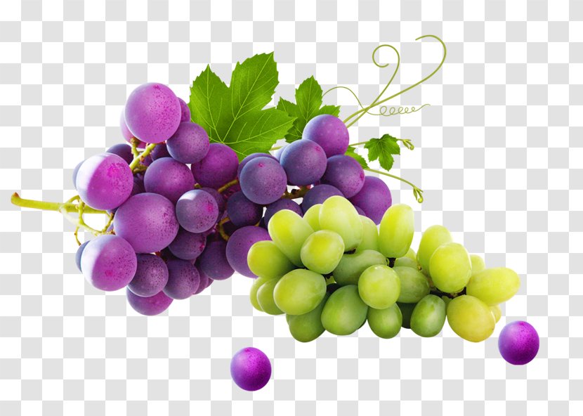 Grape Fruit Orange - Vitis Transparent PNG