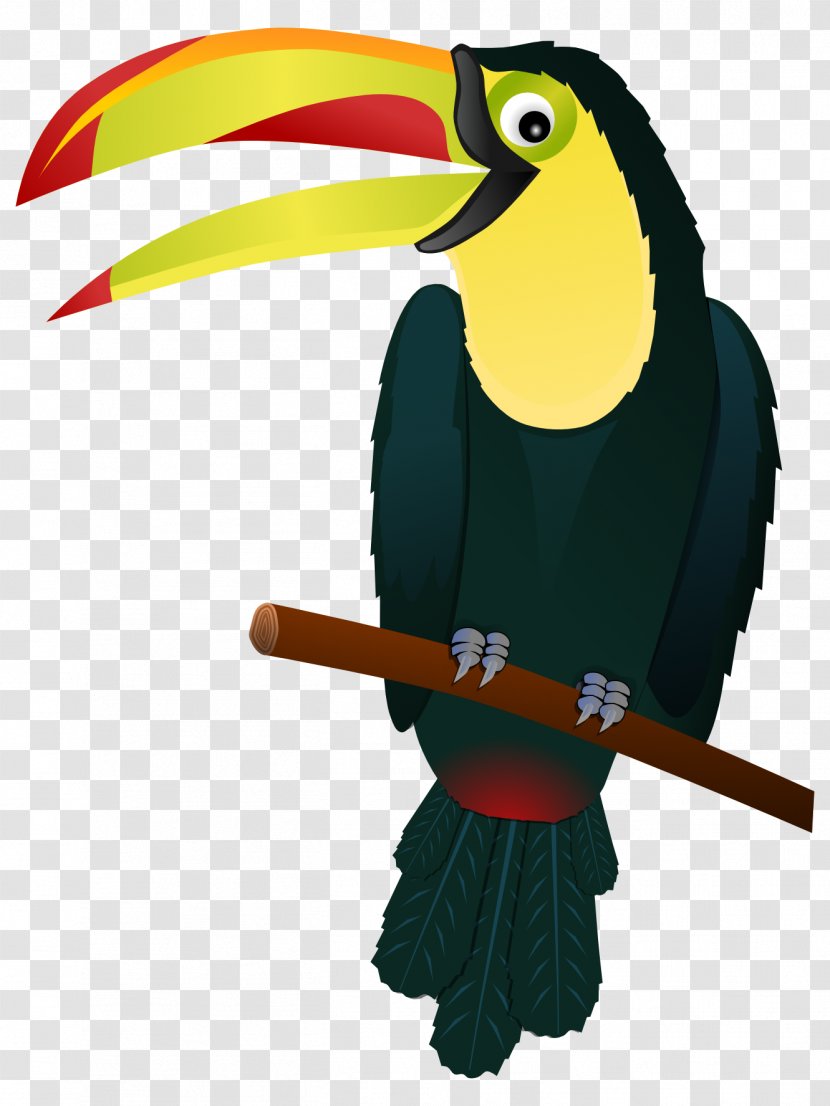 Bird Keel-billed Toucan Clip Art - Keelbilled - Cliparts Transparent PNG