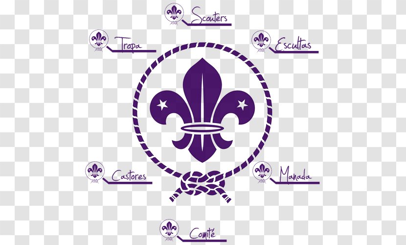 World Organization Of The Scout Movement Emblem Scouting For Boys Association - Boy Scouts America - Logo Transparent PNG
