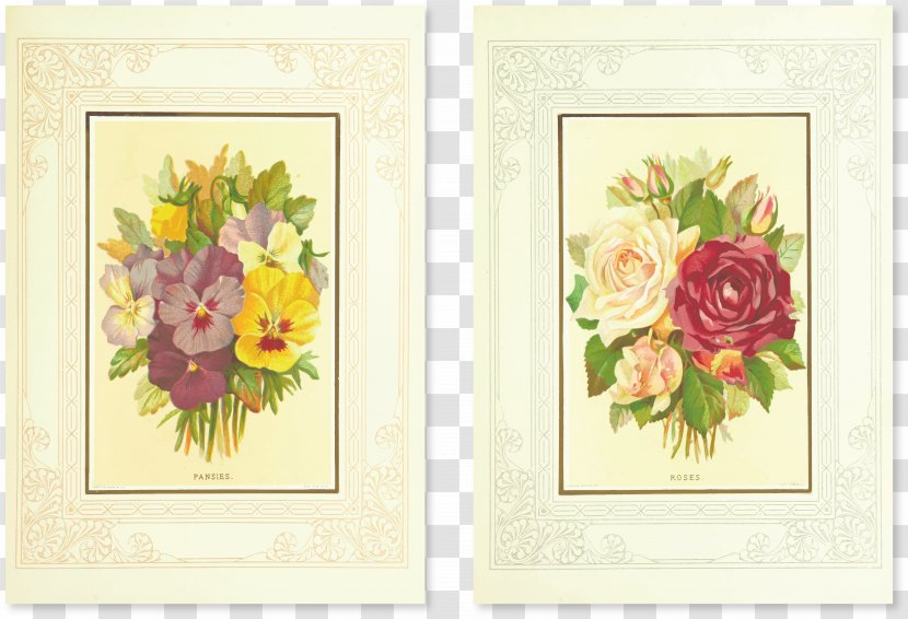 Floral Design Flower Drawing Illustration - Designer - Vector Transparent PNG