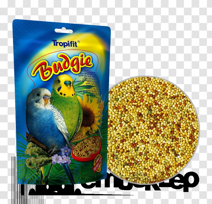 Budgerigar Bird Food Cockatiel Parrot Transparent PNG