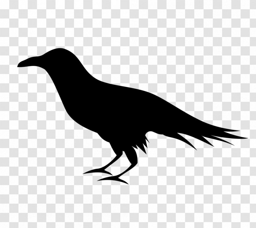 Common Raven Baltimore Ravens Clip Art - Crows Transparent PNG