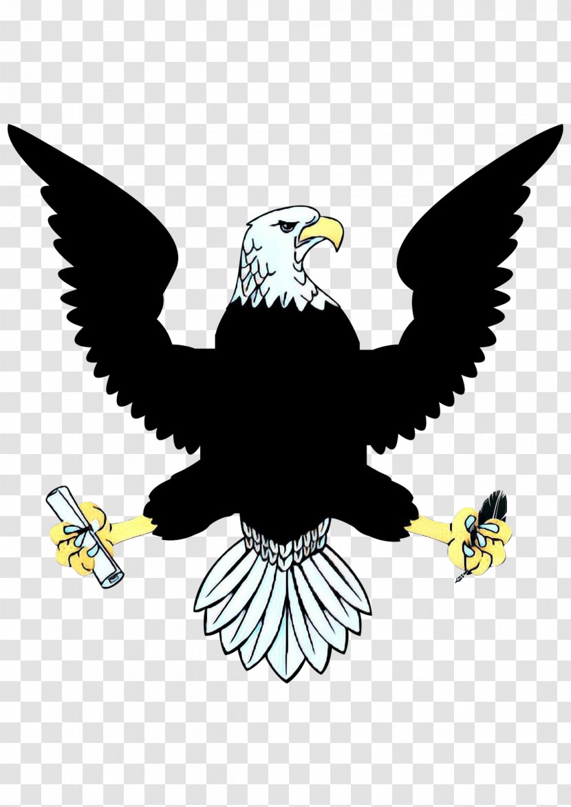 Bird Logo - Bald Eagle - Kite Transparent PNG