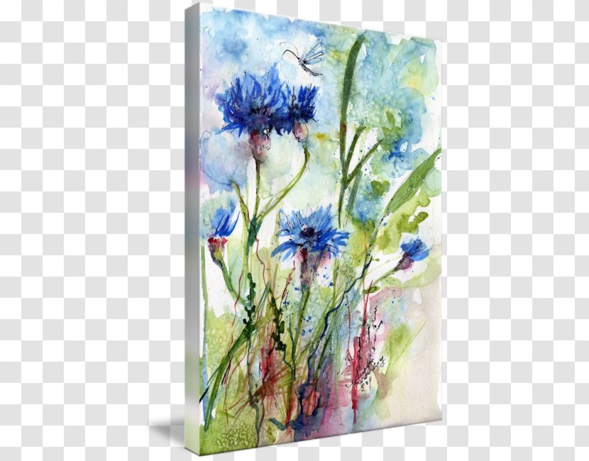 Floral Design Cornflowers Watercolor Painting - Canvas Print - Wildflowers Transparent PNG