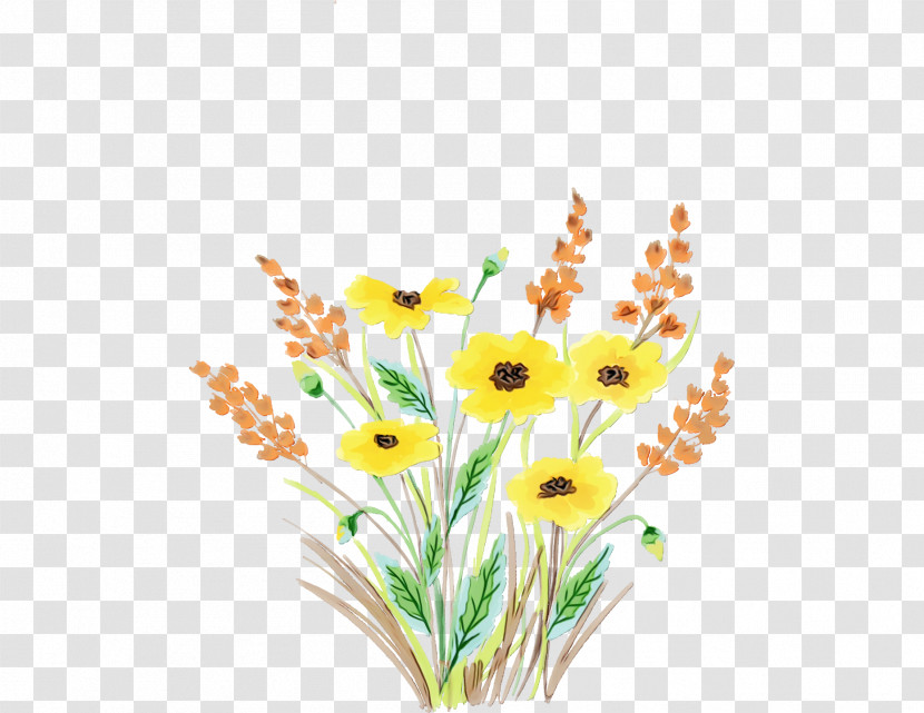 Flower Plant Cut Flowers Pedicel Grass Transparent PNG