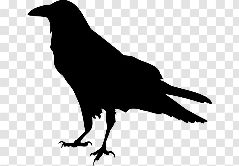 American Crow Common Raven Silhouette - Family Transparent PNG