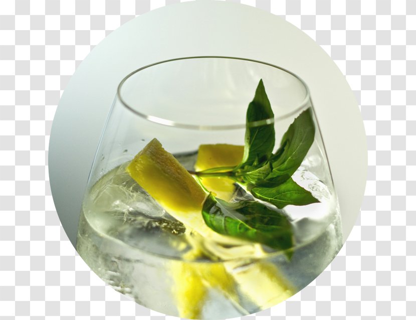 Cocktail Garnish Iron Balls Gin Distillery And Tonic Water - Glass Transparent PNG