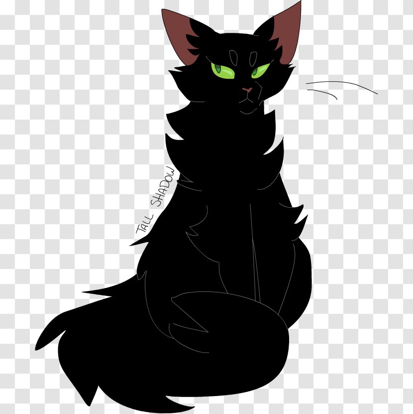 Domestic Short-haired Cat Whiskers Warriors Shadowstar - Mammal Transparent PNG