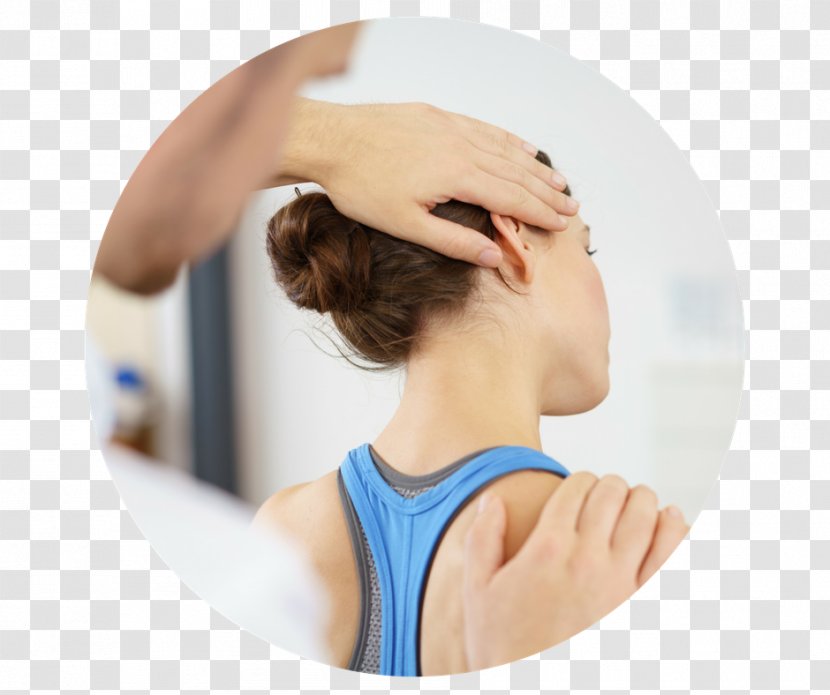 Physical Therapy Botany Physiotherapy & Pilates Medicine Health Care Transparent PNG