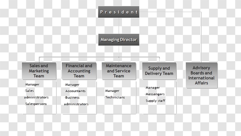 Organizational Chart Company Structure Distribution - Diagram Transparent PNG