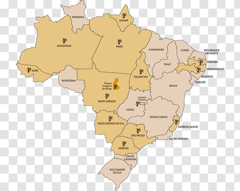 Regions Of Brazil Brasilian Alkuperäiskansat Xingu National Park Mapa Polityczna - Map Transparent PNG