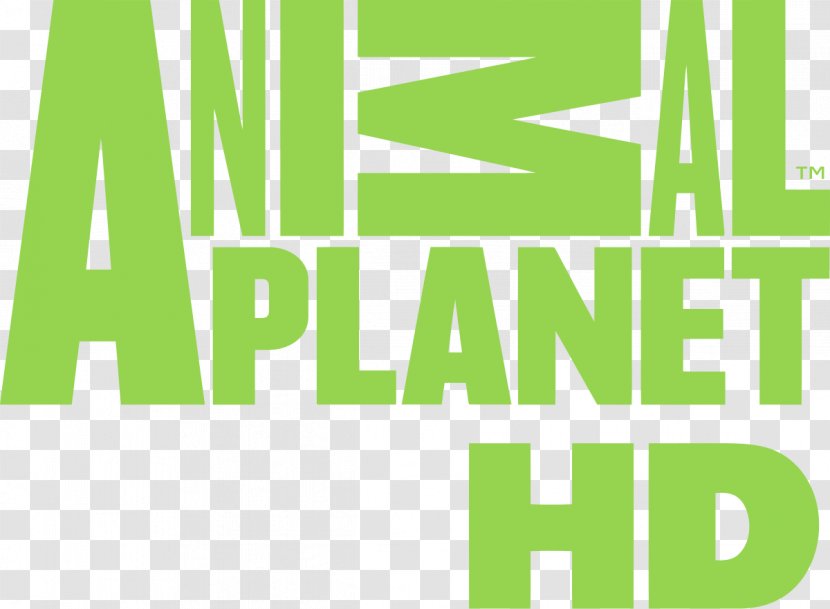Animal Planet High-definition Television Channel Logo - Highdefinition Transparent PNG