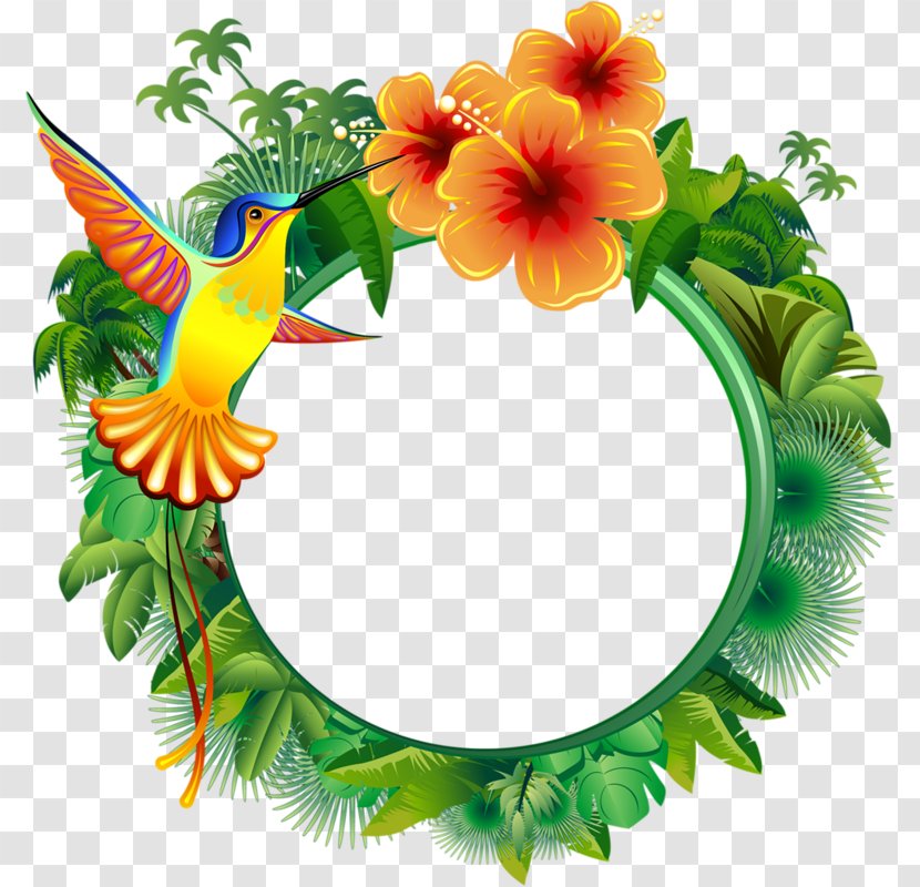 Hummingbird Mural - Leaves Circle Transparent PNG