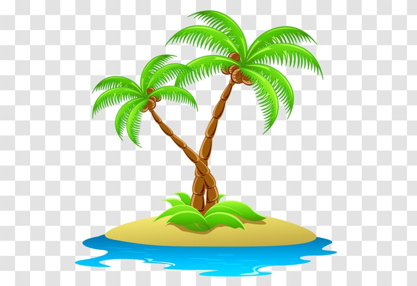 Arecaceae Island Clip Art - Arecales - Coconut Tree Transparent PNG