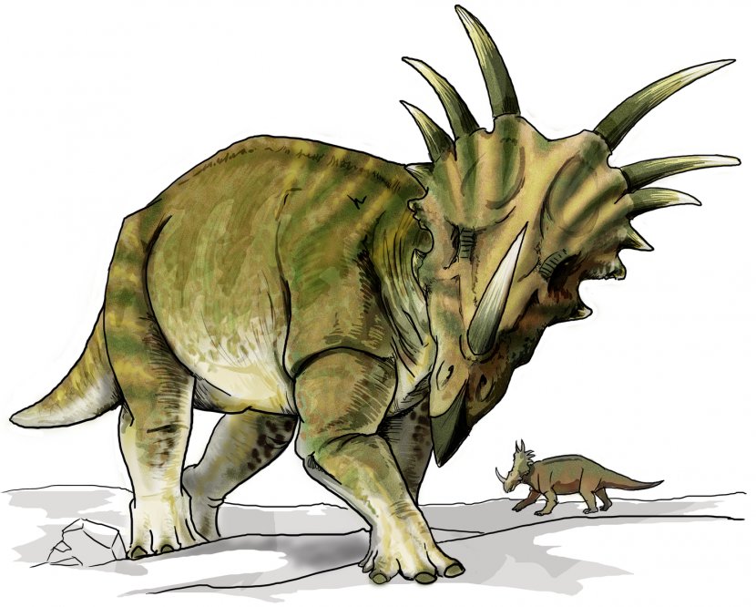 Utahceratops Dinosaur Provincial Park Ceratopsia Styracosaurus Kentrosaurus - Extinction Transparent PNG
