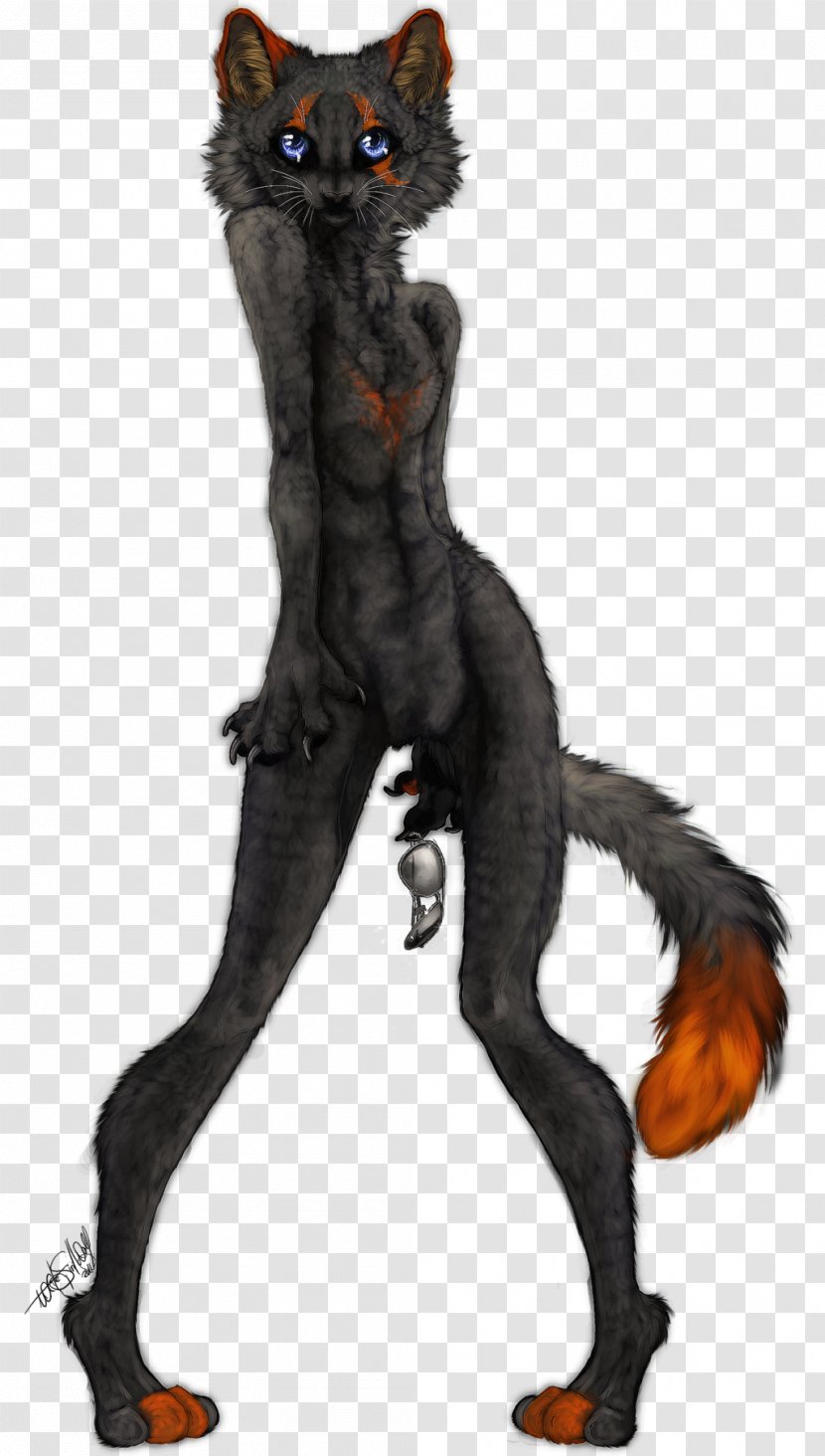 Cat Werewolf Dog Fur Canidae - Tail - Wolf Spirit Transparent PNG