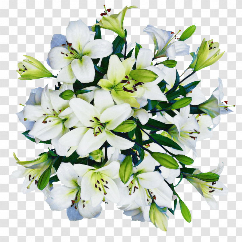 Floral Design Transparent PNG