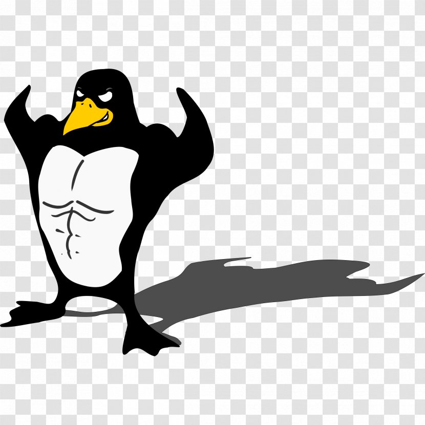 Penguin Muscle Biceps Arm Clip Art - Beak - Strong Transparent PNG