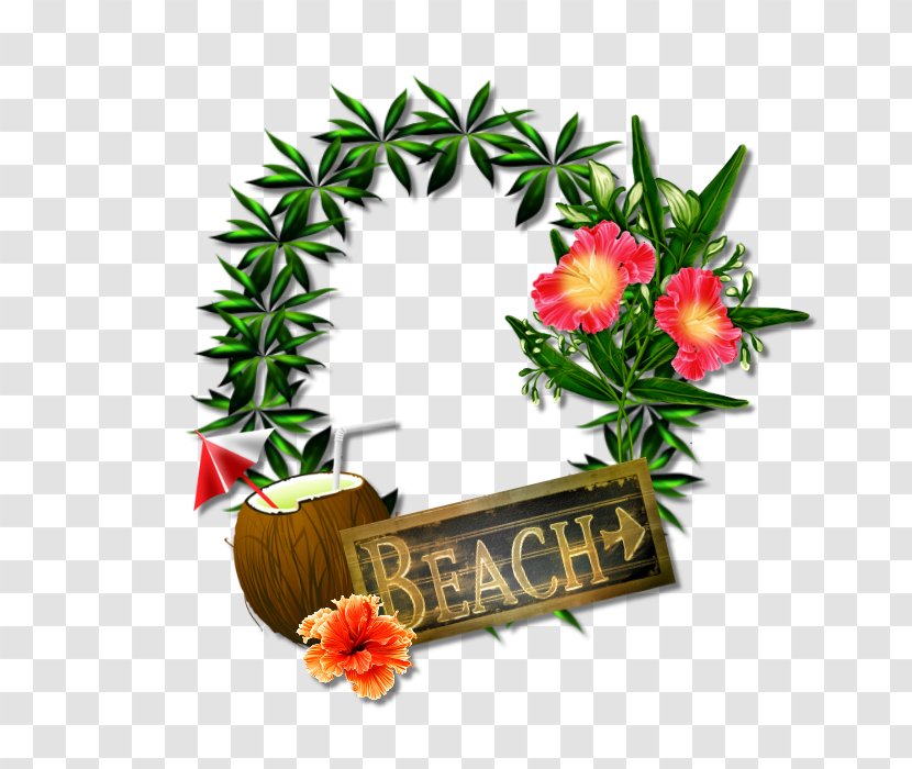 Floral Design Flowering Plant Flowerpot Fruit - Beach Holiday Transparent PNG