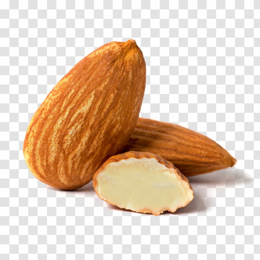 Nut Almond Android Madeleine - Health Transparent PNG