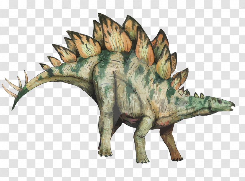 Stegosaurus Stegosauria Dinosaur - Jurassic - Vector Sword Dragon Transparent PNG