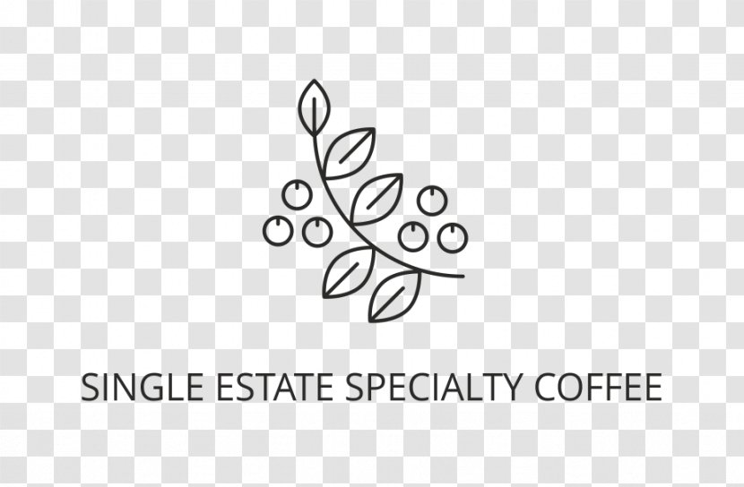 Specialty Coffee Summar Frum Instant Transparent PNG