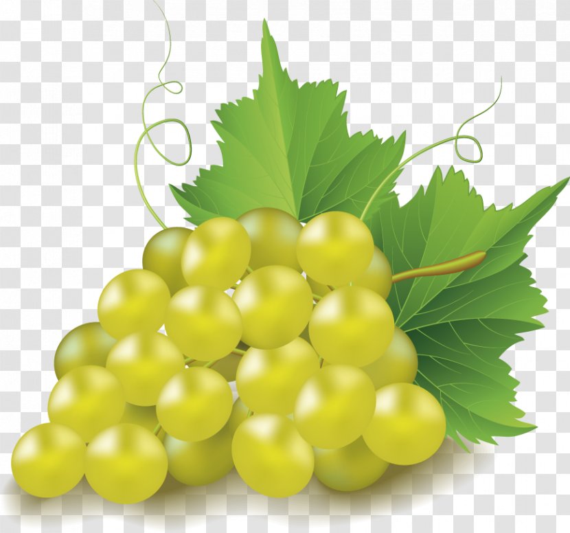 Grape Clip Art - Food Transparent PNG