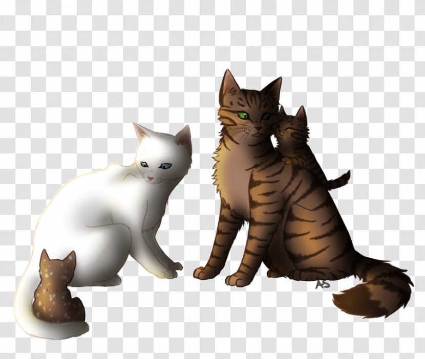 Kitten Warriors Whiskers Cat Art - Small To Medium Sized Cats - Get Well Transparent PNG