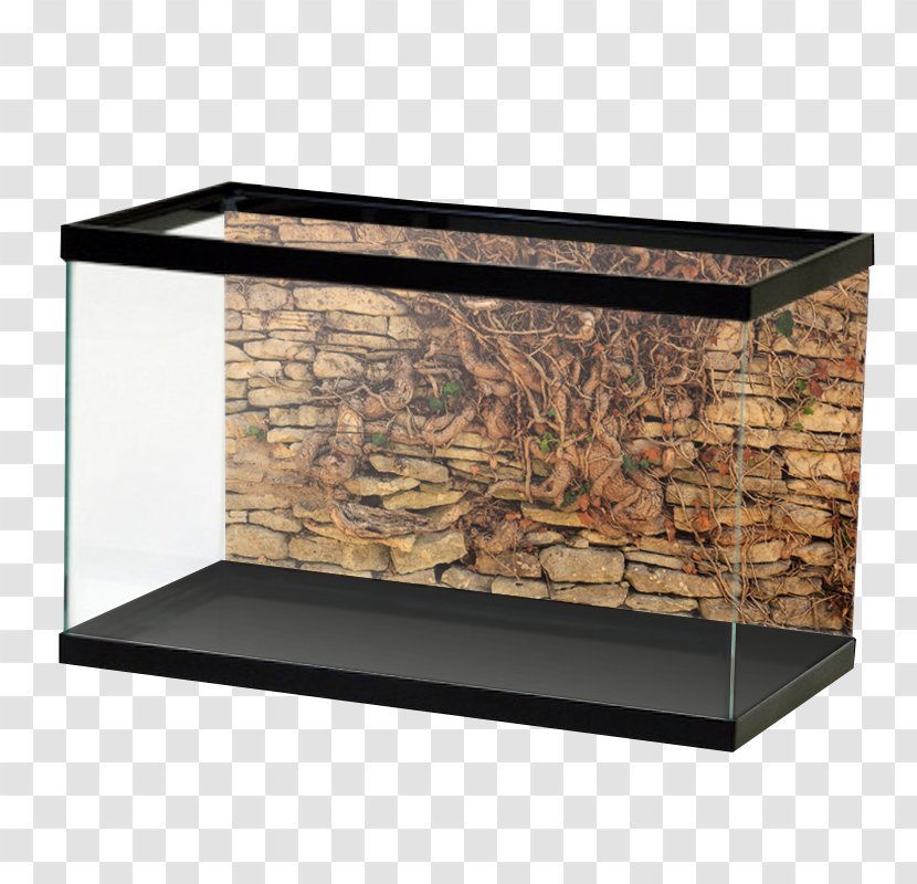 Aquariums Goldfish Aquascaping Reef Aquarium - Driftwood - Wall Advertising Transparent PNG