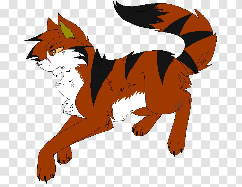 Cat Warriors Tigerstar Firestar ThunderClan - Orange - Siberian Tiger Transparent PNG