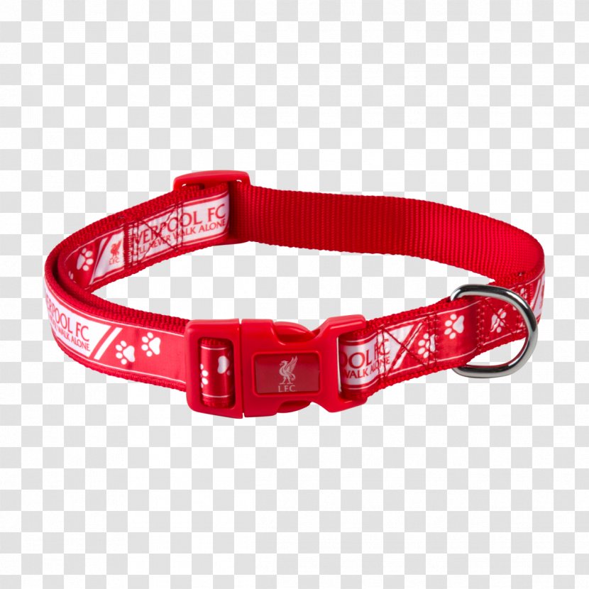 Liverpool F.C. Dog Collar Dog's Fashion Scottish Terrier - You Ll Never Walk Alone - Front Roll Transparent PNG